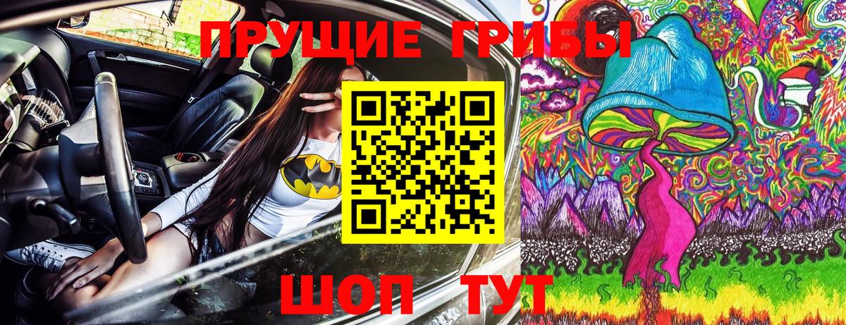 Псилоцибиновые грибы мицелий Дедовск
